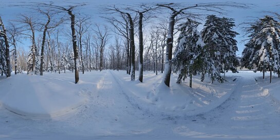 雪景360°HDR贴图8K分辨率-2