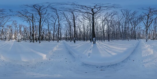 雪景360°HDR贴图8K分辨率-2